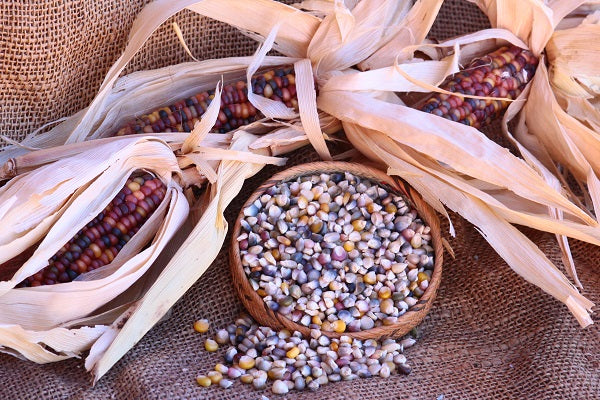 Corn ~ Glass Gem