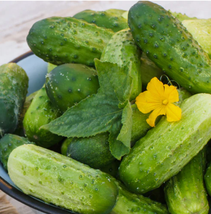 Cucumber ~ Homemade Pickles
