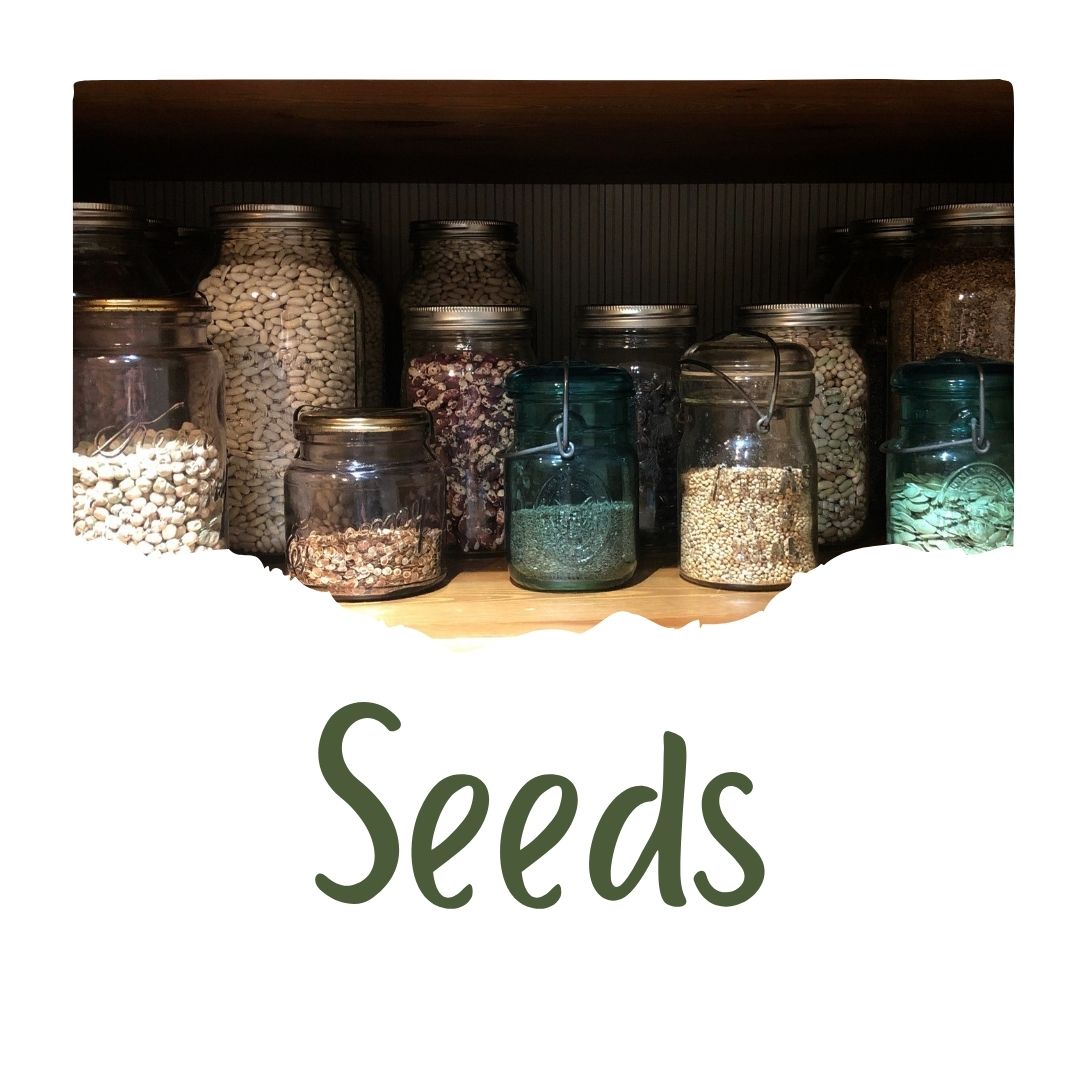 Seeds
