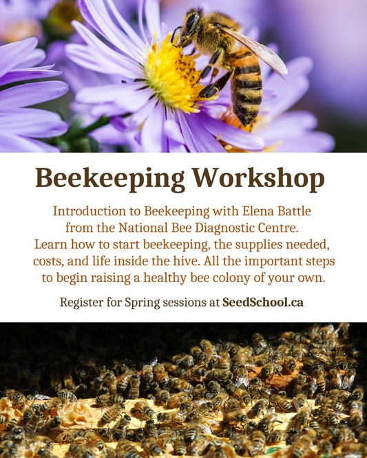 Beekeeping Workshop