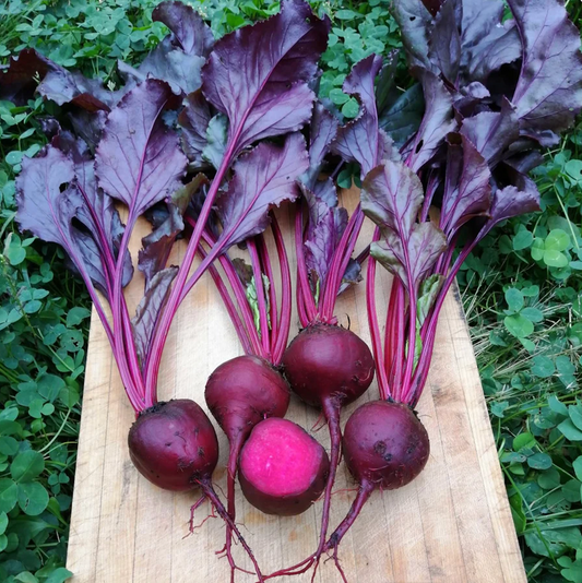 Beet ~ Bull’s Blood