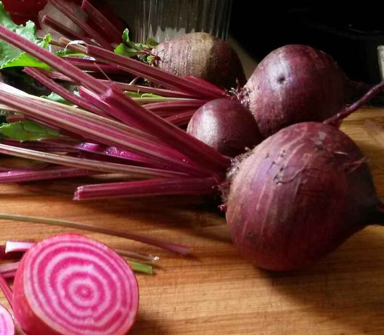 Beet ~ Chioggia
