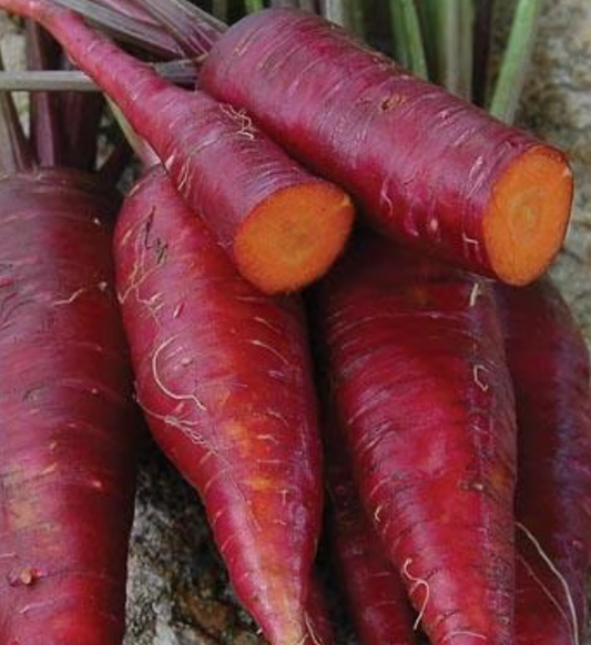 Carrot ~ Red Dragon