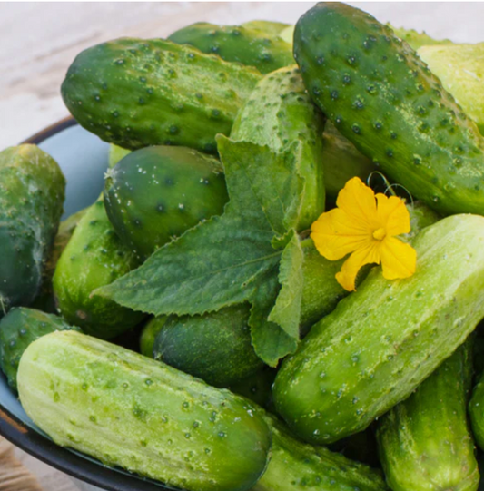 Cucumber ~ Homemade Pickles