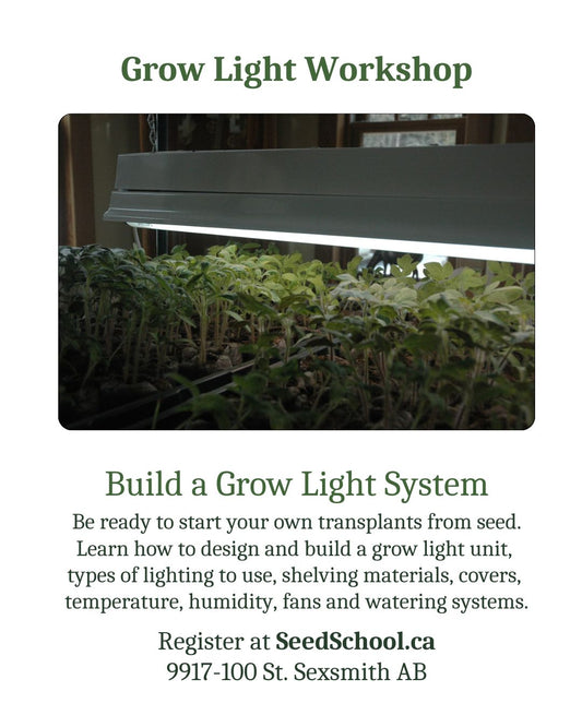 Grow Light Workshop