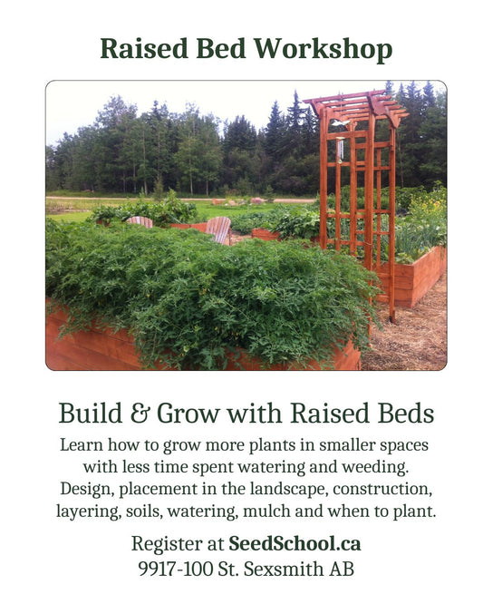 Raised Bed Workshop