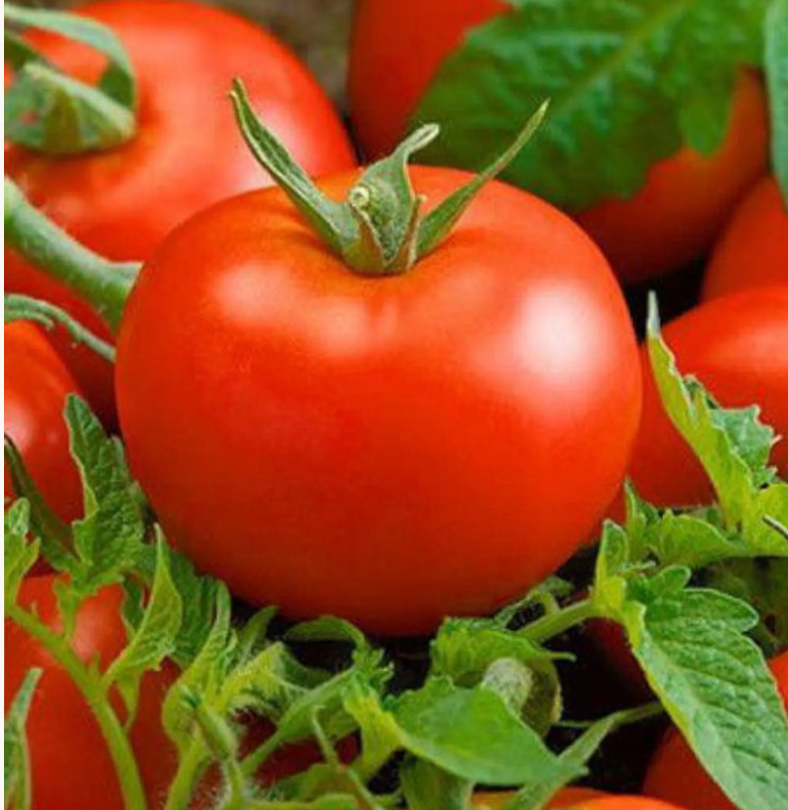 Tomato ~ John Baer